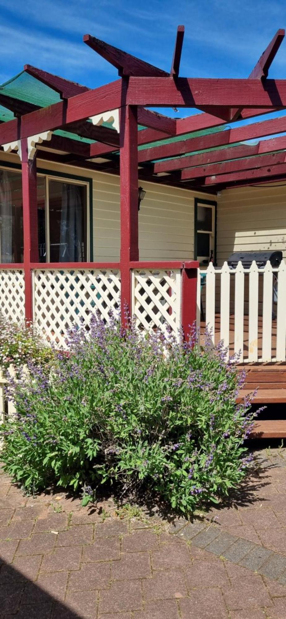 Belle Cottage Scottsdale Zewnętrze zdjęcie